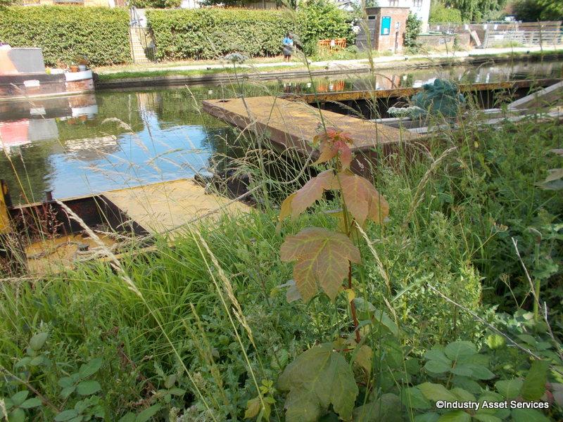 dscn5992.jpg